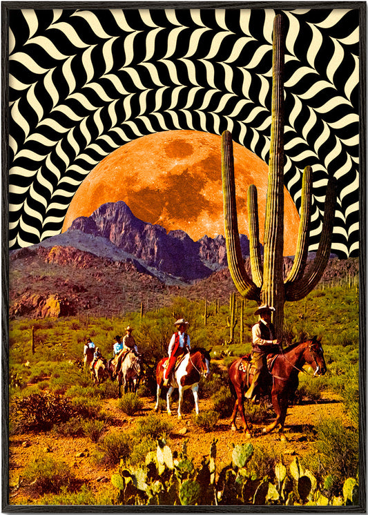 Rynx | Illusionary Cowboys - Taudalpoi
