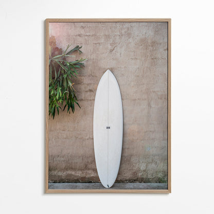 Rynx | Safari Twinfin - Shot by Clint