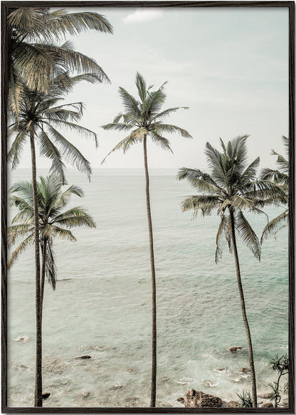 Rynx | Tropical Dreams - Recording of Clint