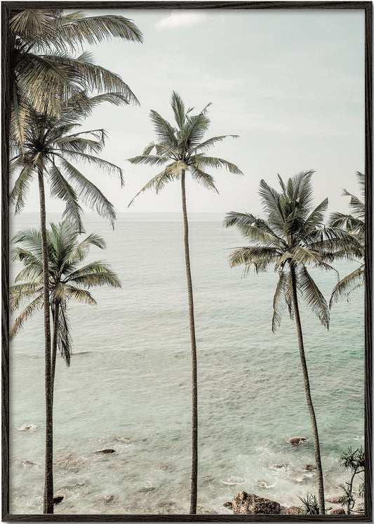 Rynx | Tropical Dreams - Recording of Clint