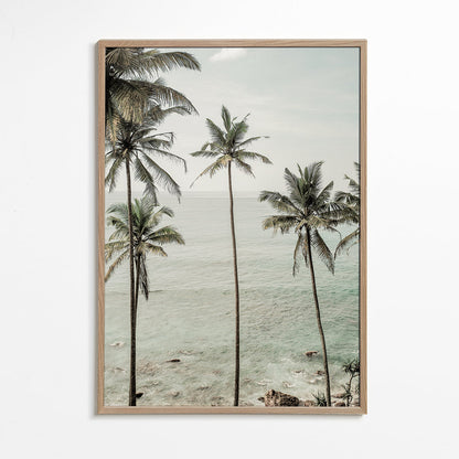 Rynx | Tropical Dreams - Recording of Clint