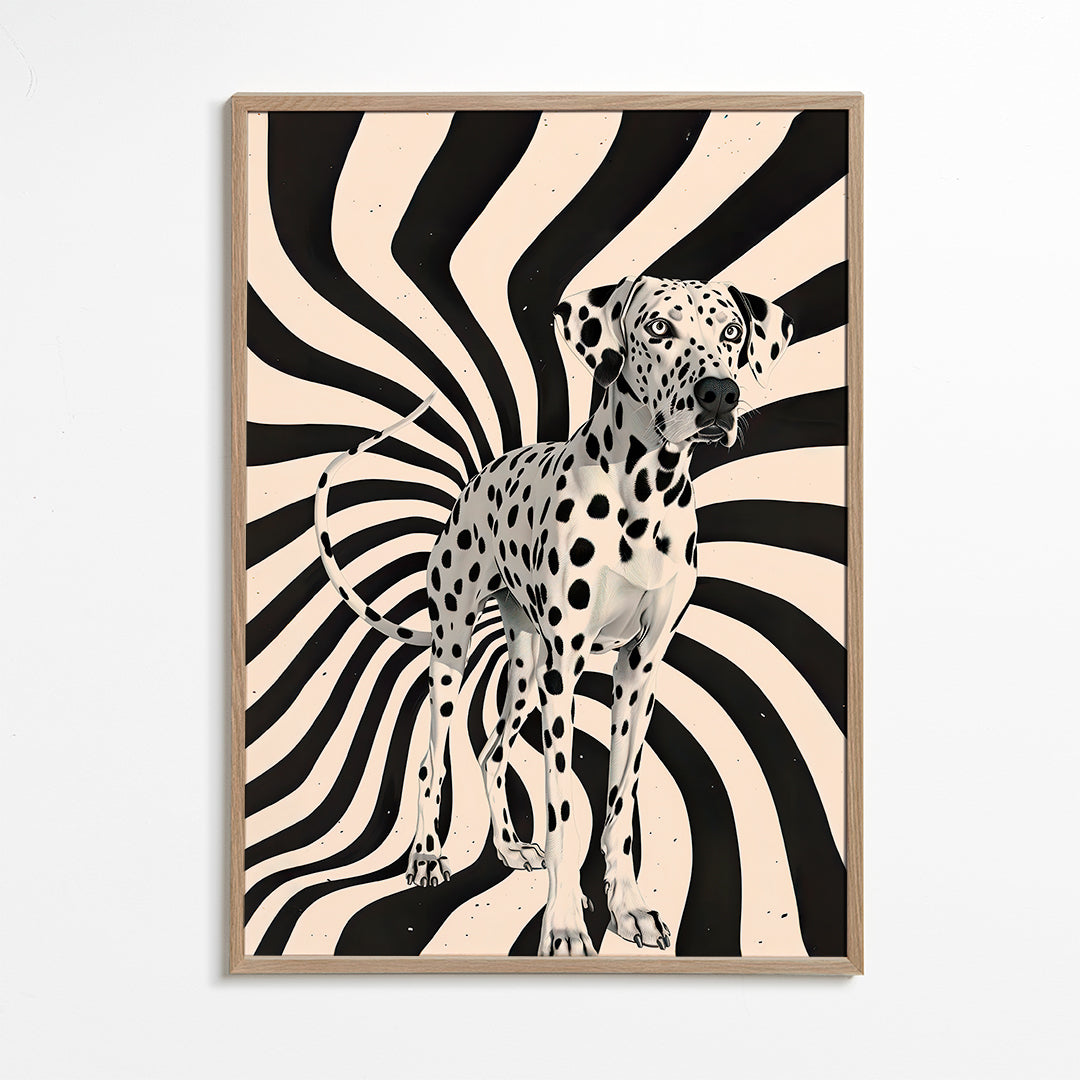 Rynx | The Dalmatian - Andreas Magnusson