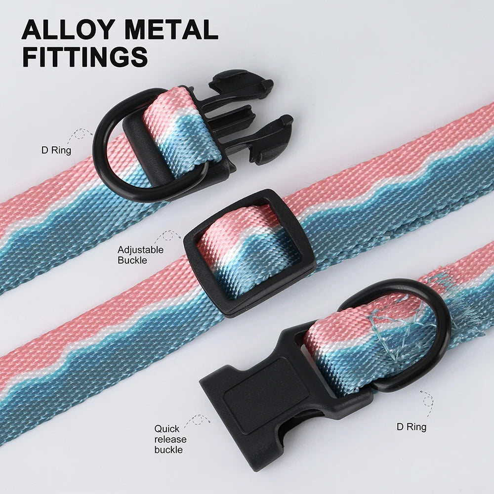Rynx | Adjustable Nylon Dog Collar