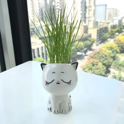 Rynx | Cute Mini Cat-Shaped Ceramic Planter Pot