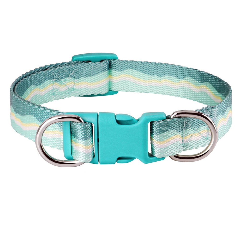 Rynx | Adjustable Nylon Dog Collar