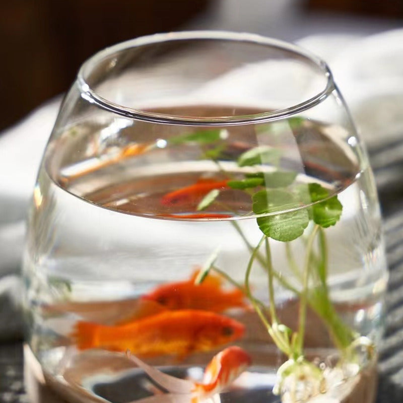 Rynx | Elegant Glass Desktop Fish Tank