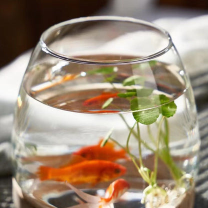 Rynx | Elegant Glass Desktop Fish Tank