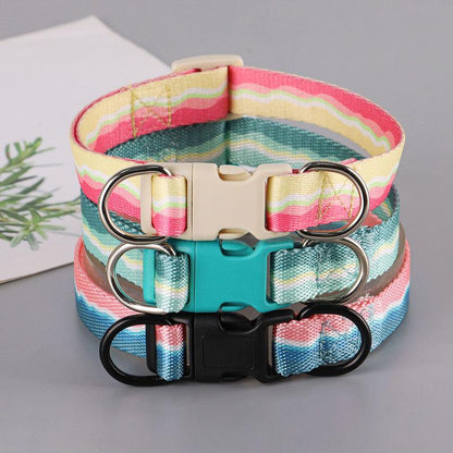 Rynx | Adjustable Nylon Dog Collar
