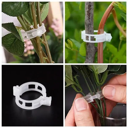 Rynx | 100 pcs. Plant support clips | Perfect hold for healthy plants