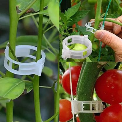 Rynx | 100 pcs. Plant support clips | Perfect hold for healthy plants