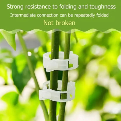Rynx | 100 pcs. Plant support clips | Perfect hold for healthy plants