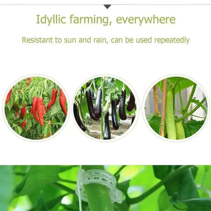 Rynx | 100 pcs. Plant support clips | Perfect hold for healthy plants
