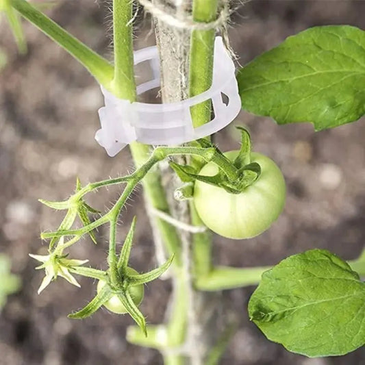 Rynx | 100 pcs. Plant support clips | Perfect hold for healthy plants