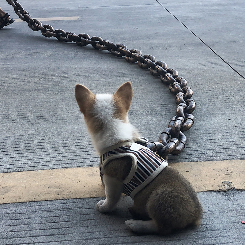 Rynx | Trendy and Fun Dog Leash - PawChic