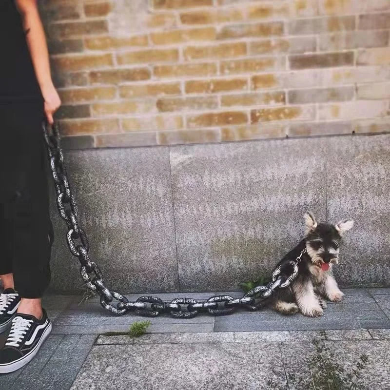 Rynx | Trendy and Fun Dog Leash - PawChic
