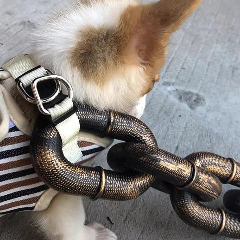 Rynx | Trendy and Fun Dog Leash - PawChic