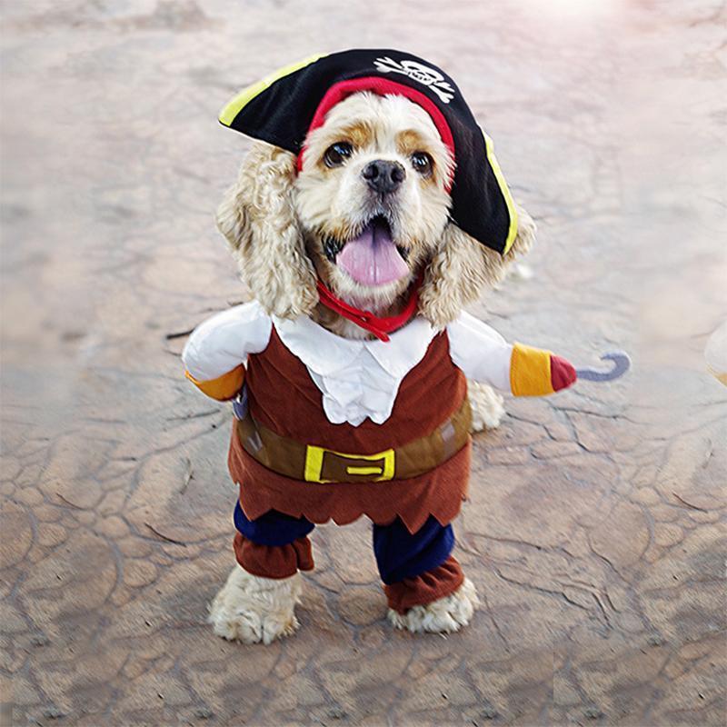 RYNX | Pet Costumes Pirate