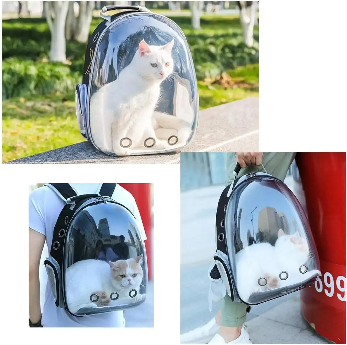 Rynx | Pet carrier backpack - TravelPaw