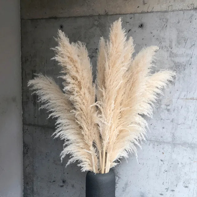 Rynx | BohoBliss - Dried Pampas Grass beige