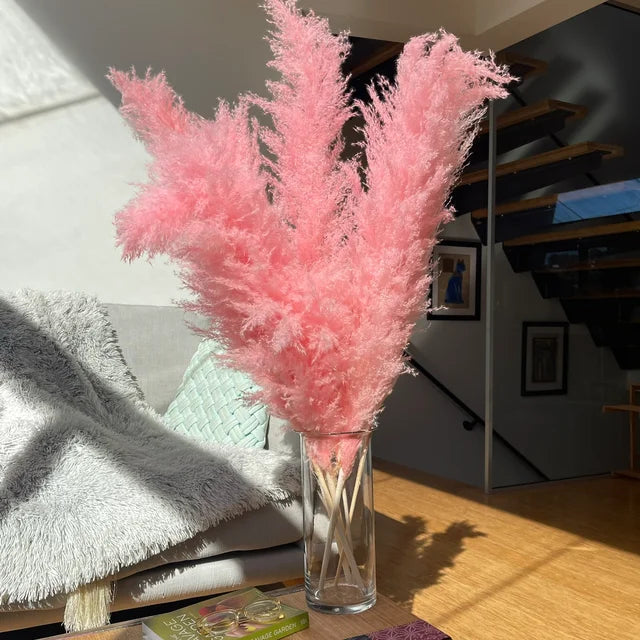 Rynx | BohoBliss - Dried Pampas Grass pink