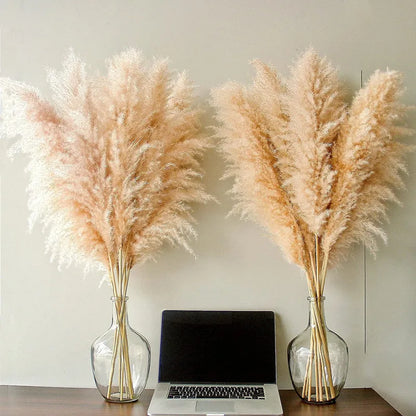 Rynx | BohoBliss - Dried Pampas Grass