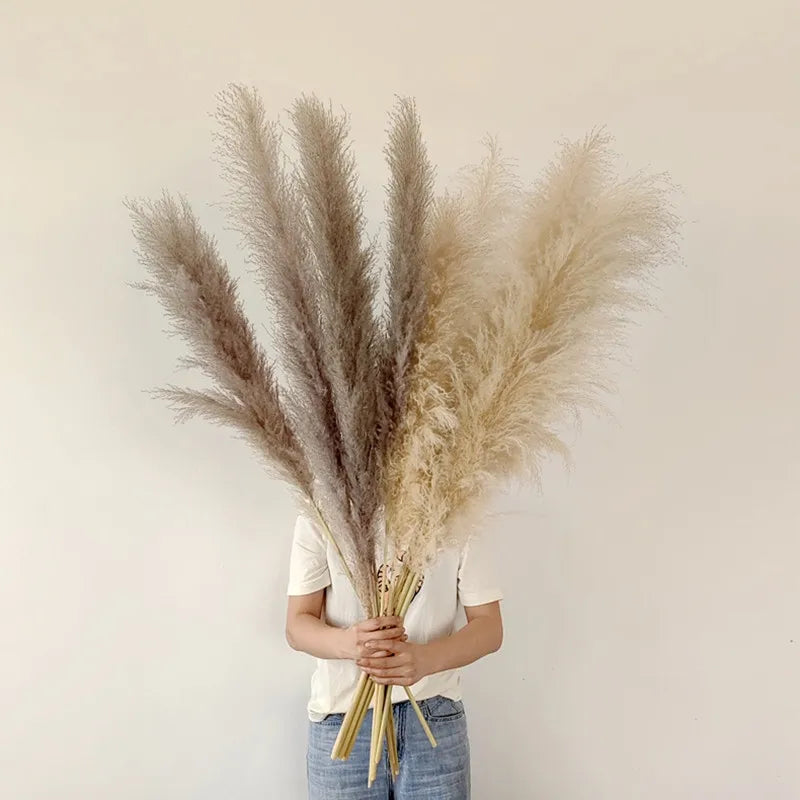 Rynx | BohoBliss - Dried Pampas Grass