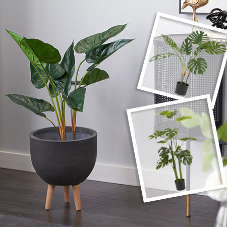 Rynx | Naturalistic potted plant, choose your style