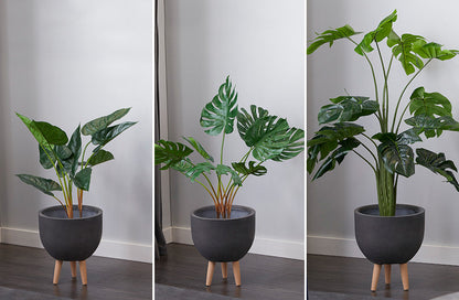 Rynx | Naturalistic potted plant, choose your style