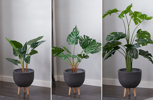 Rynx | Naturalistic potted plant, choose your style