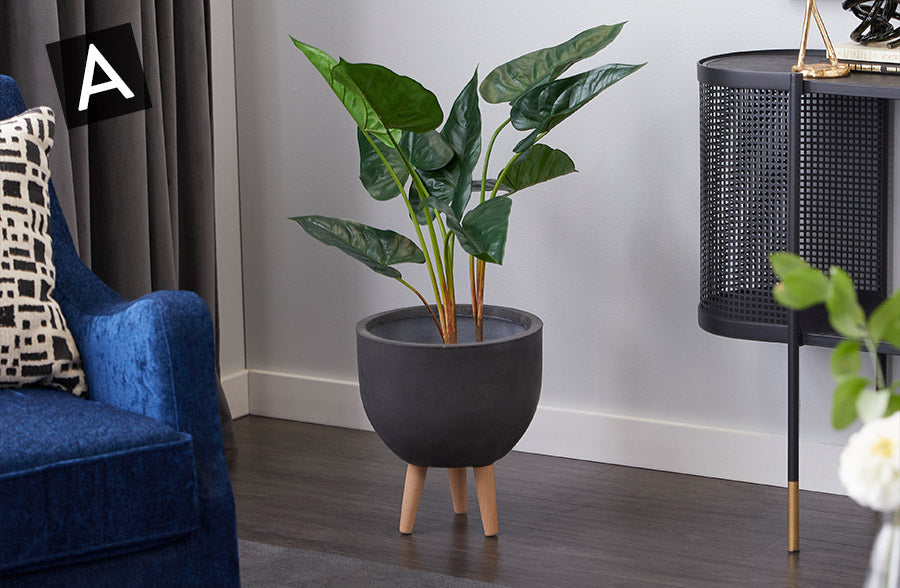 Rynx | Naturalistic potted plant, choose your style