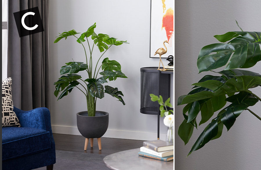 Rynx | Naturalistic potted plant, choose your style
