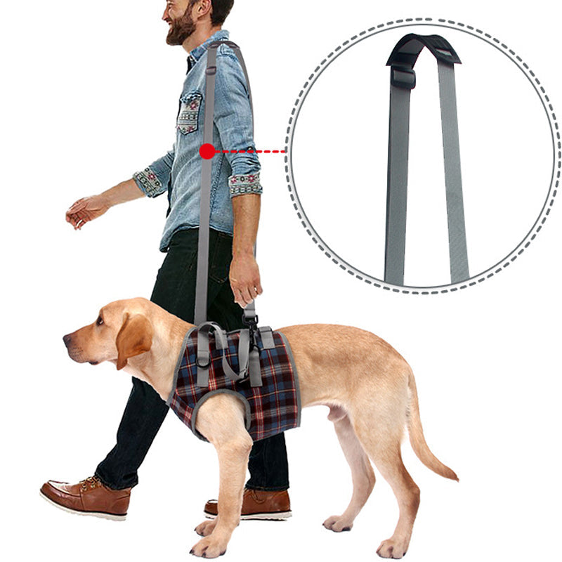 Rynx | Orthostatic Strap For Back Legs