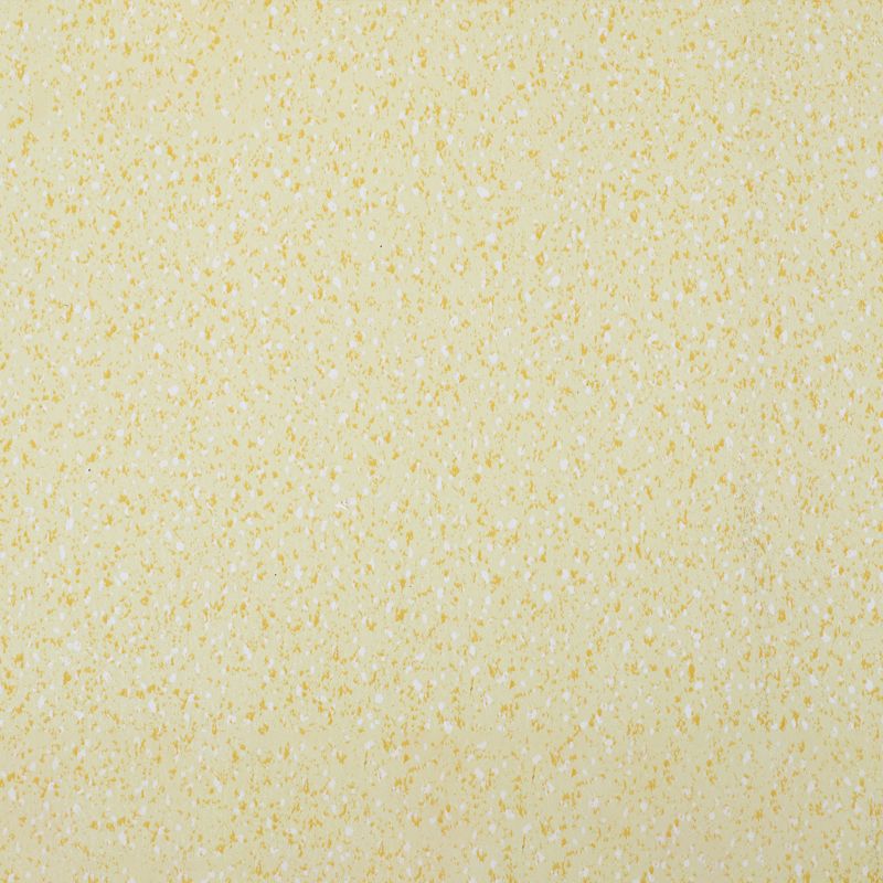 Rynx | Indoor Flooring Peel and Stick Coiled PVC 200cm Waterproof Vinyl Flooring