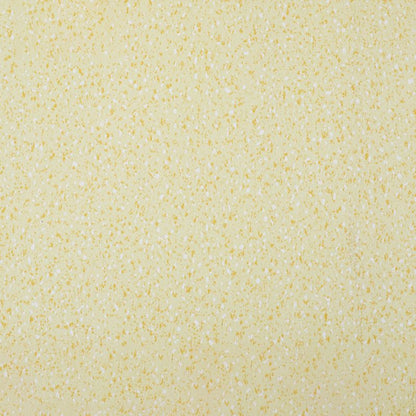 Rynx | Indoor Flooring Peel and Stick Coiled PVC 200cm Waterproof Vinyl Flooring