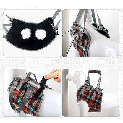 Rynx | Orthostatic Strap For Back Legs