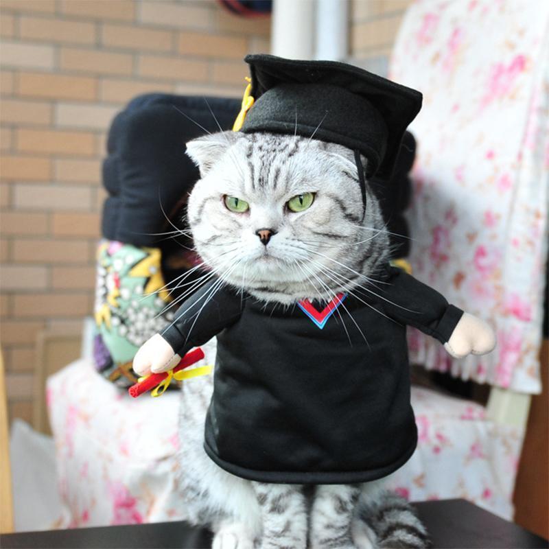 RYNX | Pet Costumes PH.D.