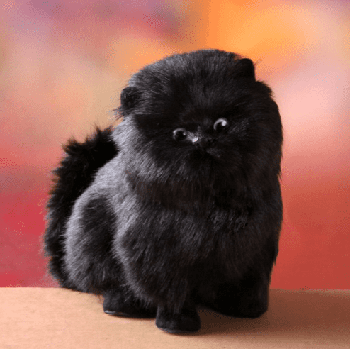 RYNX | Enchanting, Electric, Interactive Plush Kitten