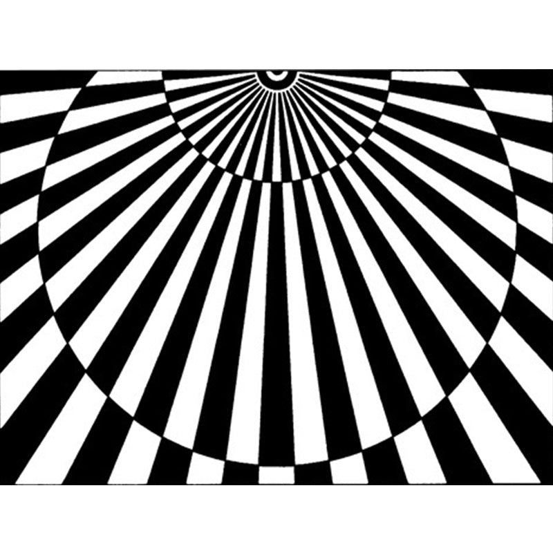 Rynx | Novelty Living Room Rug in Black and White 3D Half Circle Stripe Print Rug Polyester Pet Friendly Washable Area Rug