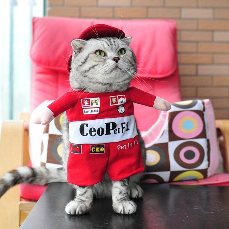 RYNX | Pet Costumes F1 racing driver