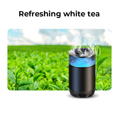 Rynx | Spray Car View Aromatherapy Diffuser