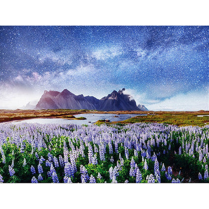 Rynx | Stylish Lavender Pattern Rug with Galaxy Blue Contemporary Rug Polyester Washable Anti-Slip Backing Area Rug for Living Room