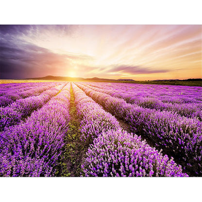 Rynx | Novelty Lavender Pattern Rug Purple Polyester Rug Machine Washable Non-Slip Area Rug for Bedroom