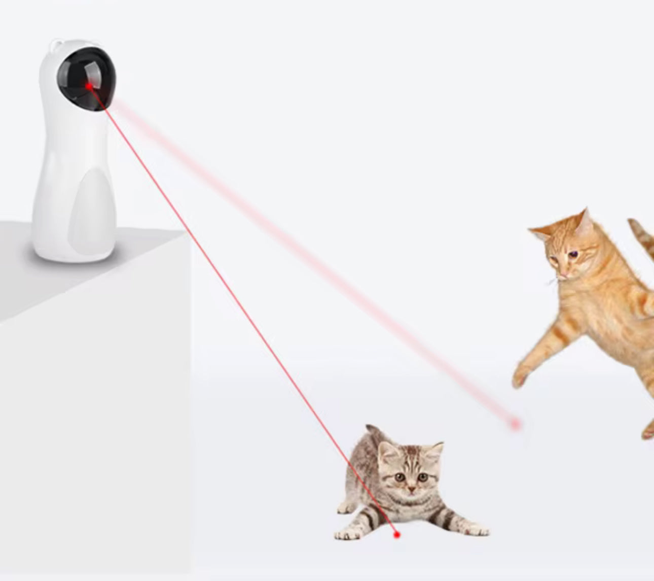 Rynx | MTech Cat Laser Interactive Toy