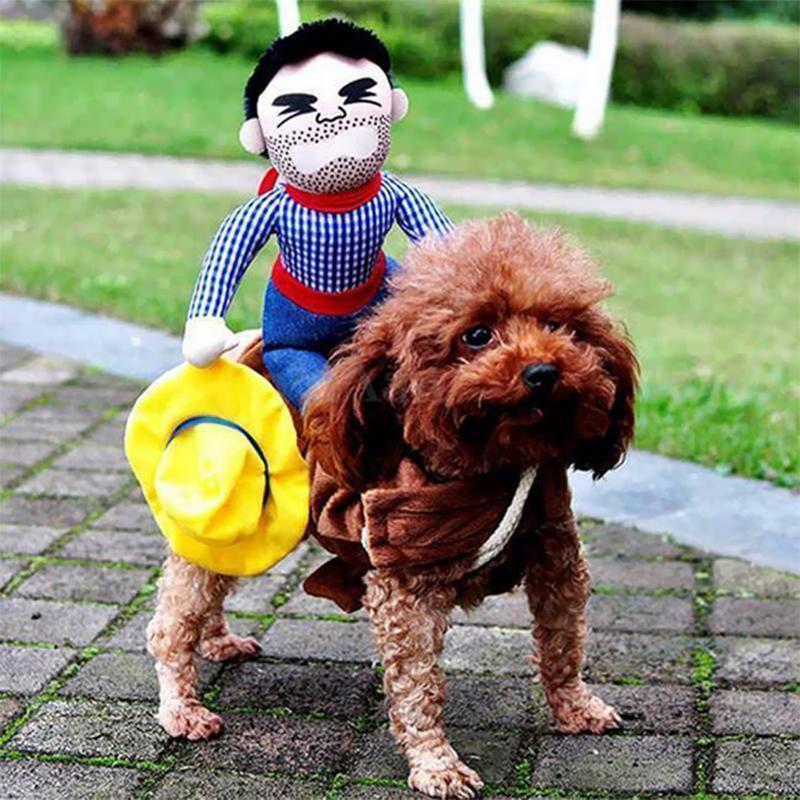 RYNX | Pet Costumes