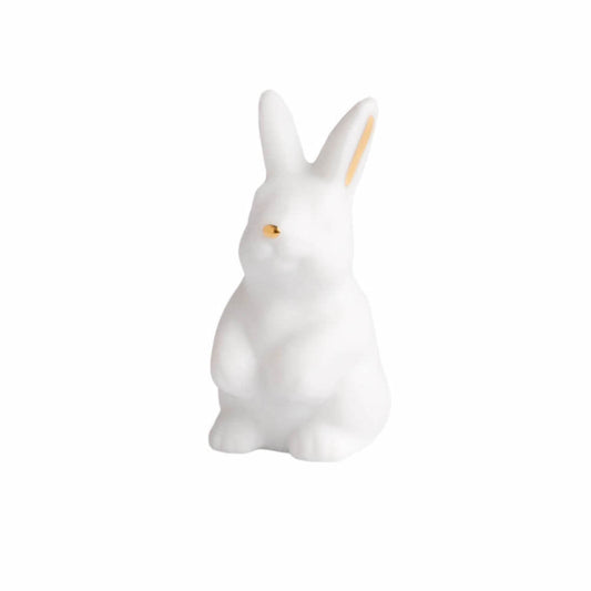Rynx | Fortune Box Rabbit