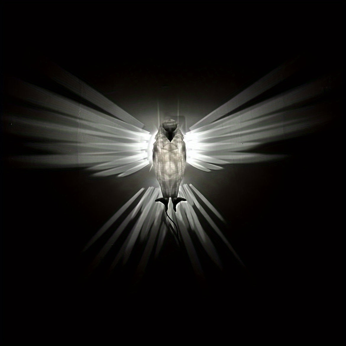 Rynx | OwlGlow - Geometric Owl LED Wall Decoration for Seasonal Celebrations