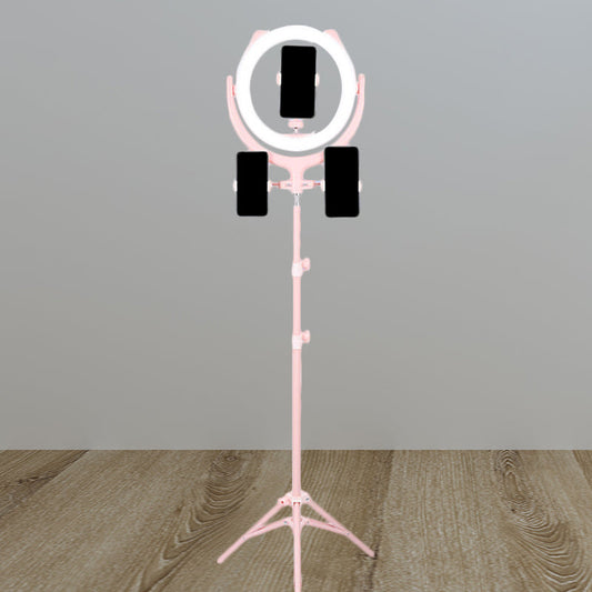Rynx | Circular Mirror Lighting Modernity Metal Phone Holder USB LED Fill Light in Pink