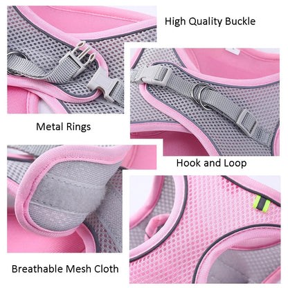 Rynx | Adjustable Summer Mesh Harness and Leash Set for Small Dogs and Cats