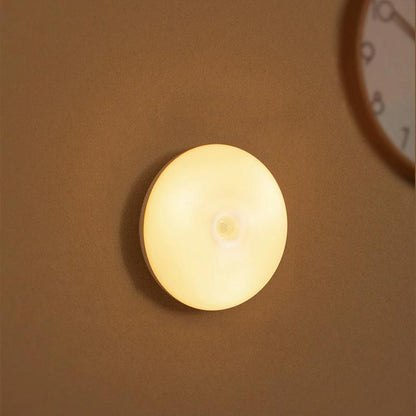 Rynx | Intelligent human induction LED night light
