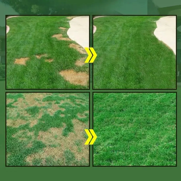Rynx | Hydroseed Solution for Lawn Renovation – so you can be proud of your lawn again